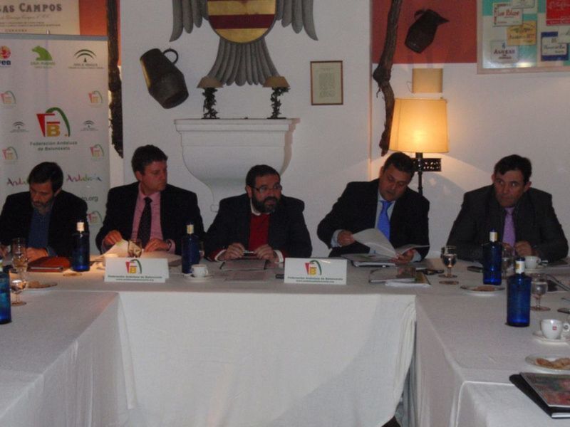 la FAB reúne a su junta directiva en Córdoba en lo que ha sido la primera sesión del 2011