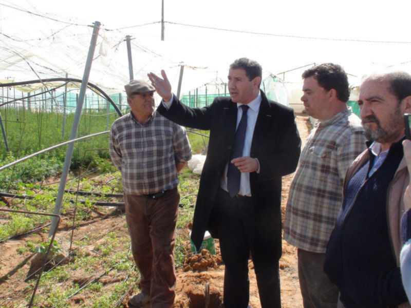El alcalde y el delegado de Agricultura visitan los invernaderos afectados por el temporal(Chipiona)