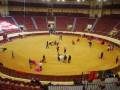 Una plaza de toros vacía con asientos rojos y una arena llena de personas participando en un espectáculo.