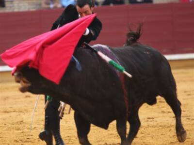 Finito de Córdoba y Arancha del Sol ganan 100.000 euros a Ana Rosa Quintana en los tribunales