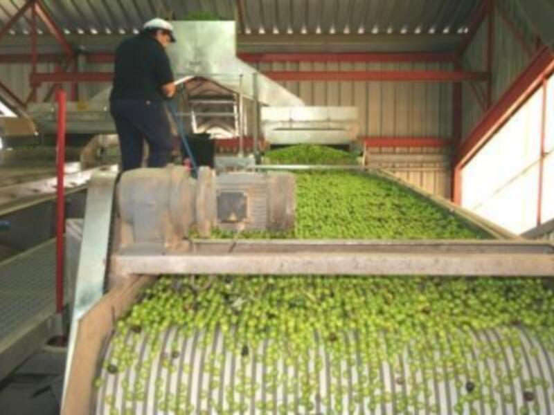 El GDR Aljarafe-Doñana ya ha asignado más de 2.000.000 de euros en subvenciones a proyectos de desarrollo rural 