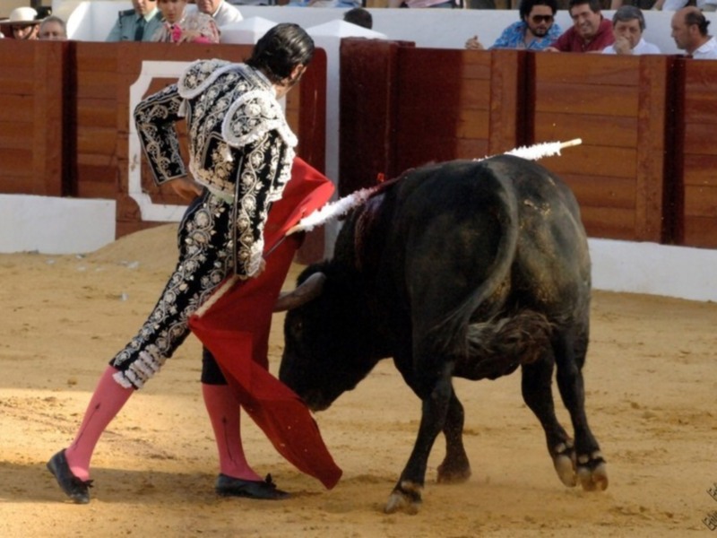 Salvador Vega, a hombros en la primera de Osuna