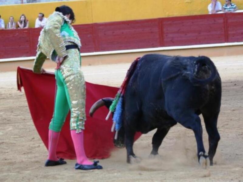 Diego Silveti roza la puerta grande en Ávila