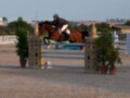 Un jinete a caballo salta sobre un obstáculo de carreras, rodeado por plantas y estructuras decorativas. La imagen muestra un ambiente deportivo con vehículos y edificios en el fondo, bajo un cielo despejado.