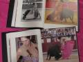 Imágenes de toros y matadores en un libro abierto sobre una superficie rosa.