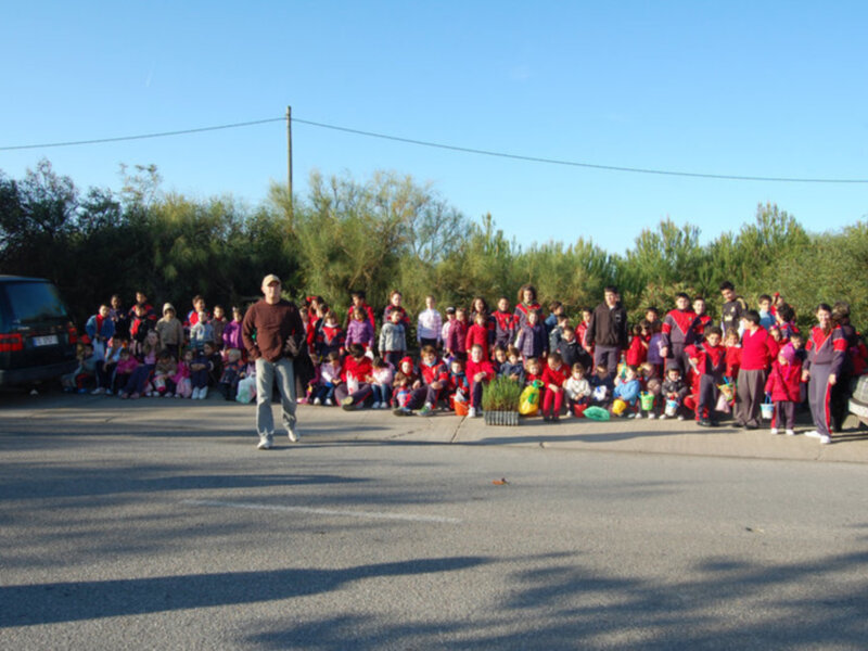 Repoblación de la zona litoral dunar  del CEIP los Argonautas y el grupo ecologista C.A.N.S. de Chipiona