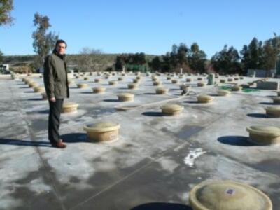 ADAD apoya la modernización de COBELÉN, una de las mayores cooperativas aceituneras andaluzas
