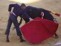 Un torero en acción durante una corrida de toros en una plaza de toros en España.