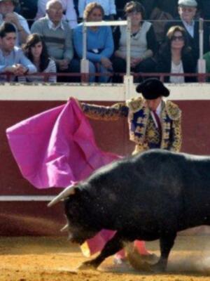 El cordobés celebra el día del padre con sus tres hijos en un festival benéfico