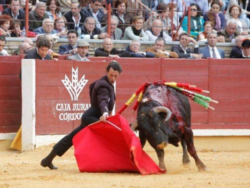 Festival contra el cáncer en Córdoba 