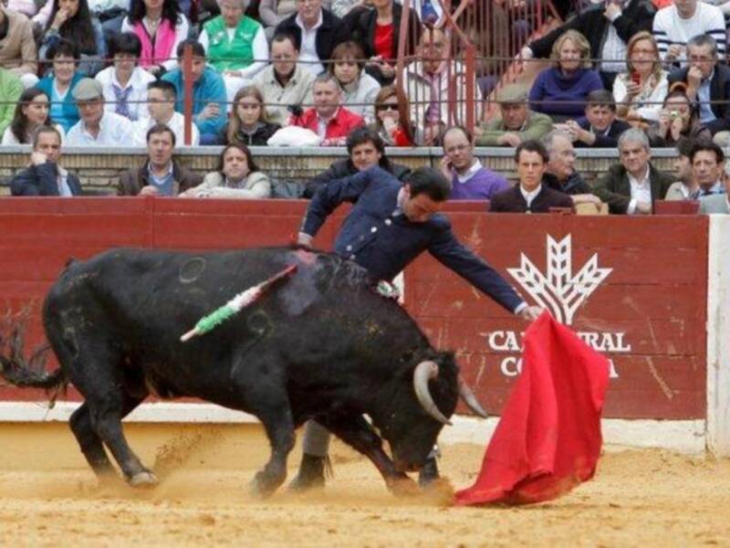 Festival contra el cáncer en Córdoba 