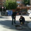 Sanidad hará actuaciones específicas de control de plagas en Diamantino García y Camacho Baños (Chipiona)