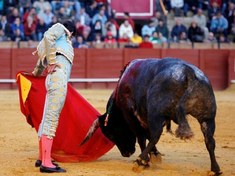 Rafaelillo da una vuelta al ruedo en la de Miura