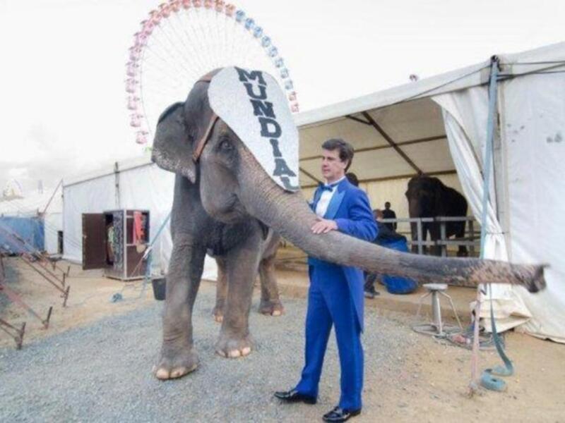 El conde de Salvatierra debuta como domador de elefantes en el circo mundial en Sevilla.