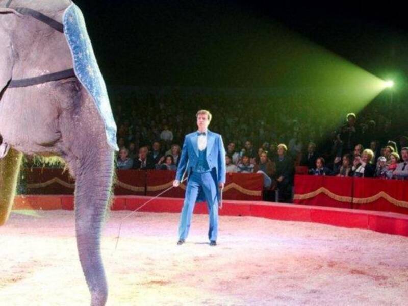 El conde de Salvatierra debuta como domador de elefantes en el circo mundial en Sevilla.
