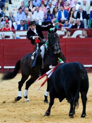 Un torero montando un caballo negro en una plaza de toros, con un toro negro detrás. La imagen muestra a los espectadores en el fondo.
