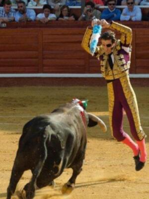 La duquesa de Alba reanuda su vida en Sevilla tras la luna de miel