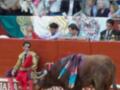 Un torero se prepara para enfrentarse a un toro en una plaza de toros, rodeado por espectadores en un ambiente vibrante.