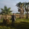 Empresarios argelinos visitan Andalucía, muy interesados en el modelo de desarrollo del Turismo y en la Agricultura intensiva.