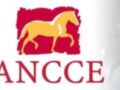 Logo de Ancce con un caballo en movimiento.