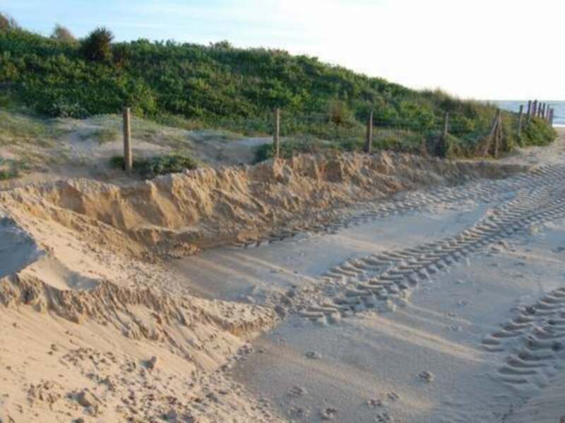Agresion a las dunas (Chipiona)