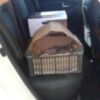 Recuperados cinco cernícalos de una palmera que se iba a ser retirada(Chipiona) 