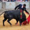 Morante será hijo predilecto de la Puebla