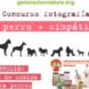 La franquicia de mascotas Husse organiza un concurso en Facebook para encontrar al perro más simpático de España