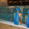 Examen doble madrileño en el retorno de la División de Honor femenina de waterpolo