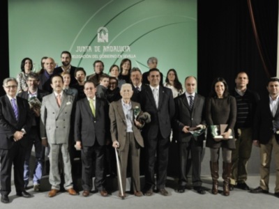 El Club Waterpolo Dos Hermanas, Bandera de Andalucía