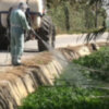 Agricultura comienza la campaña de limpieza de arroyos y cunetas(Chipiona)