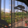 Eriphia y el Ayuntamiento programan actividades para el Día Internacional del Medio Ambiente(Chipiona)