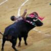 Espectacular cogida de José Tomás en su reaparición en Granada donde cortó tres orejas