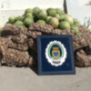 La Policía Local interviene 1.200 kilos de sandías, 600 de patatas, dulces y bollería procedentes de venta ambulante.(Chipiona) 