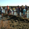 Turismo y JARIFE ofrecen visitas guiadas a los corrales de pesca durante el verano(Chipiona)