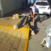 La Delegación de Servicios Municipales solicita la colaboración ciudadana en la erradicación de los actos vandálicos(Chipiona) 