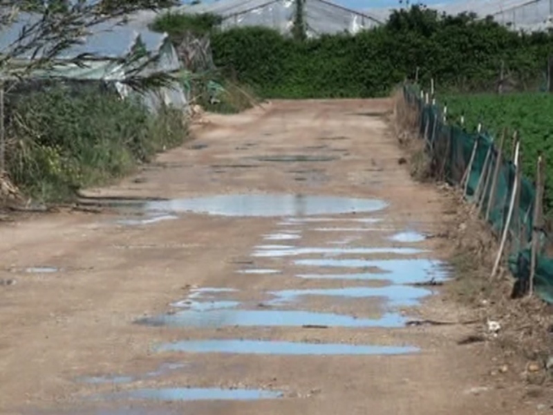 Un camino de tierra con algunas manchas azules, rodeado por vegetación y una estructura metálica en el fondo.