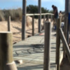 Medio Ambiente continúa con la reparación de la segunda de las pasarelas del Cordón Dunar(Chipiona) 