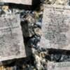 V Ciclo Poesía Nadadora en La Carbonería este mes de Octubre