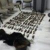 La Guardia Civil detiene a tres vecinos de Chipiona por el montaje de redes y captura ilegal de aves. 