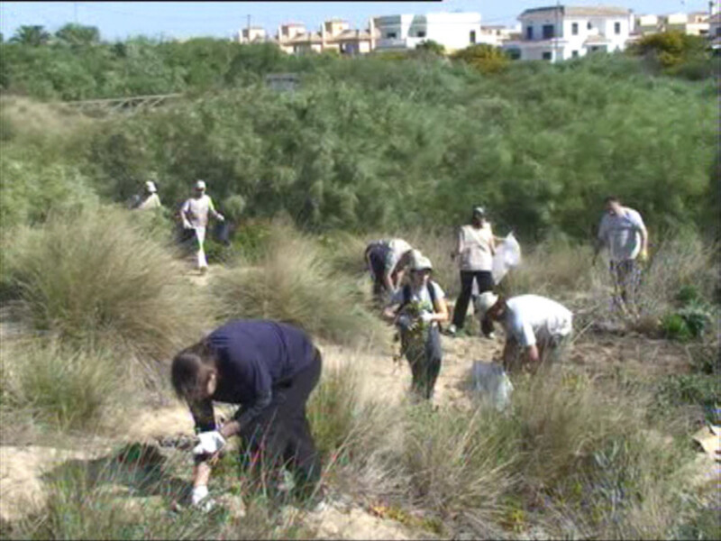 Gente recolectando basura en una playa con vegetación y edificios al fondo.