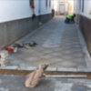 El histórico Callejón Pichichi ya cuenta con su nueva solería y nuevas acometidas de agua.(Chipiona) 