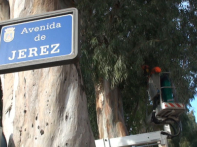 "Placa azul con el nombre 'Avenida de Jerez' en un poste negro, junto a un árbol y una grúa."