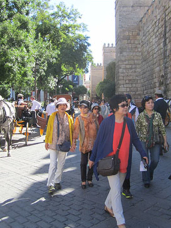 Turistas caminando por una calle adoquinada junto a un carruaje de caballos y edificios históricos en un día soleado.
