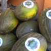 Chipiona estará presente en el quinto Congreso Gastronómico Andalucía Sabor con Acitur y el proyecto Balneario Natural 
