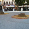 El paisaje urbano de Sevilla pierde palmeras 