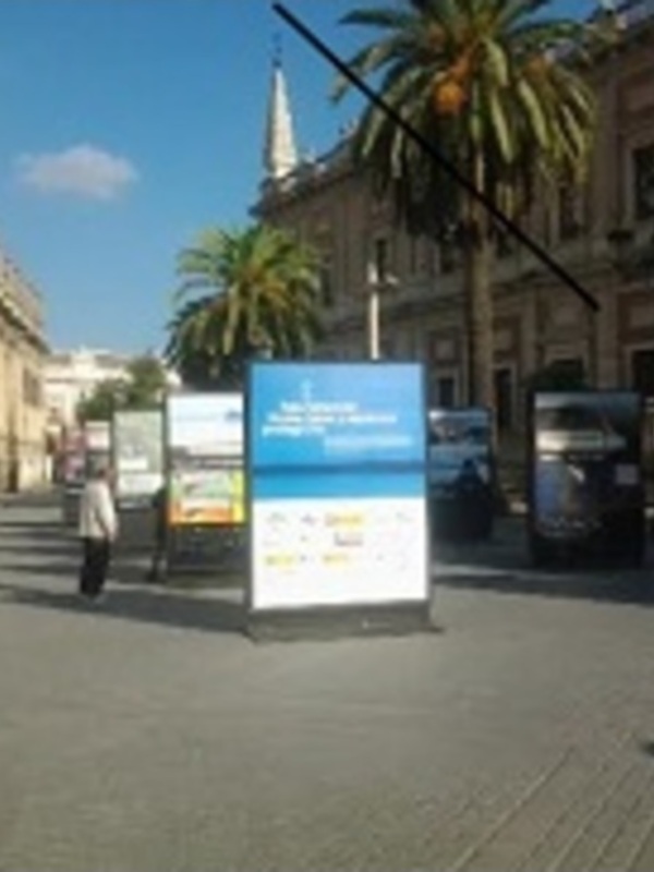Calle con edificios históricos y palmeras en un día soleado.