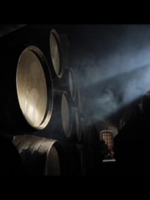 La Ruta del Vino y Brandy edita una guía de los recursos enoturísticos del Marco de Jerez 