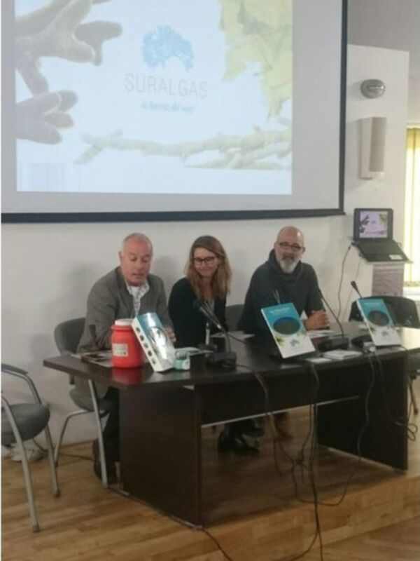 Las algas han sido hoy protagonistas de la tercera Jornada de Gastronomía del Litoral Chipiona sabe a mar