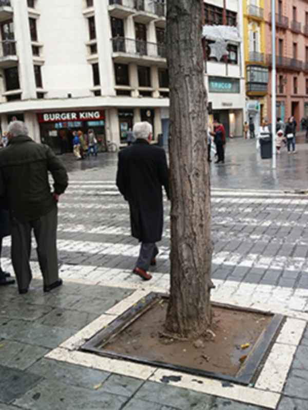 Personas caminando por una calle urbana con edificios comerciales y un árbol en el centro de la imagen.